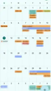 Google Calendar capture 3