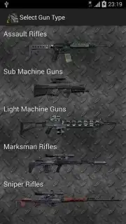 Gun Camera capture 18