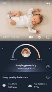 Owlet Dream capture 8