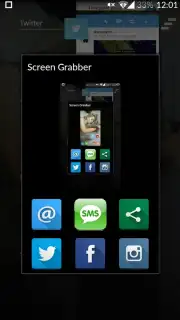 Screen Grabber capture 1