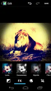 Галерея capture 1