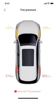 BYD capture 2