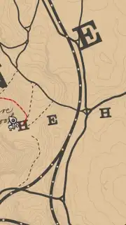 RDR2: Companion capture 2