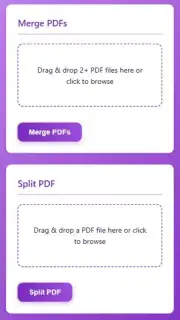 PDF Converter capture 2