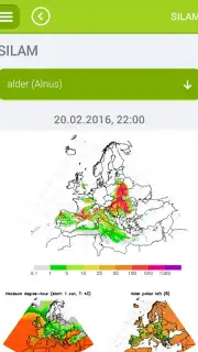 Pollen capture 1