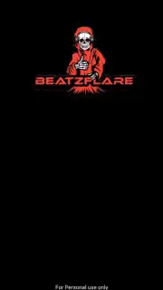 BeatzFlare MP3 Music Downloader capture 6
