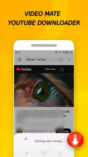 Vidora YouTube Downloader | free & fast capture 3