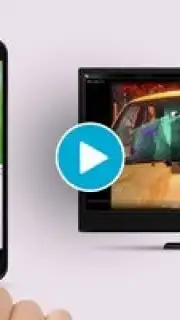 Remote Mouse capture 1