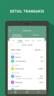 Money manager & expenses capture 2