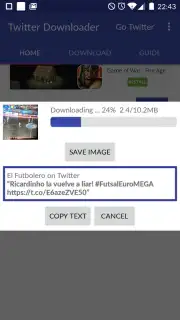 Video Downloader for Twitter capture 2