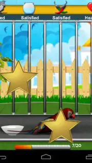 Parrot Pet Shop capture 6