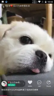Meipai capture 2