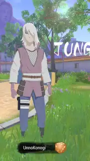 Naruto: Slugfest capture 6