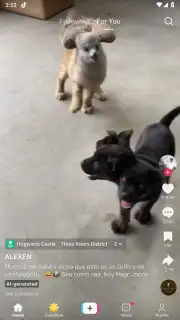 TikTok Pro capture 1