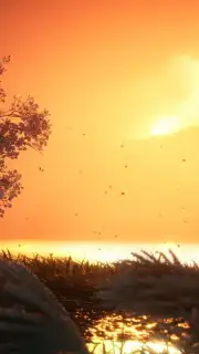 Where Winds Meet (CN) capture 4