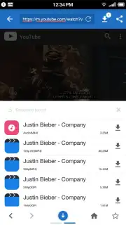 Swift - Music Downloader capture 10