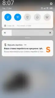 SkyLots: аукцион и маркетплейс capture 1