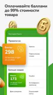 Макси – сеть магазинов capture 4