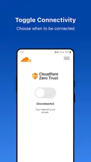 Cloudflare One capture 3