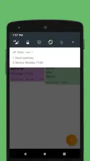 Notes (Turist) capture 5