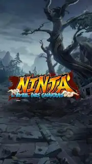 Ninja capture 1