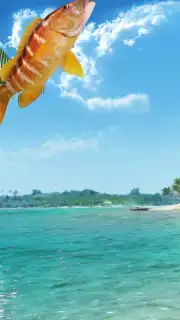 Fishing Clash capture 4
