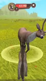 WildCraft capture 3