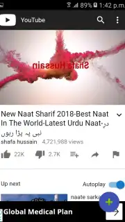 YouTube Video Downloader capture 2