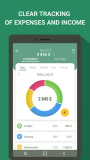 Money manager & expenses capture 4
