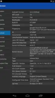 AIDA64 capture 2