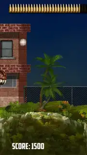 Mexico Rex capture 5