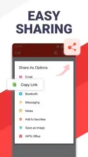 WPS Office capture 17