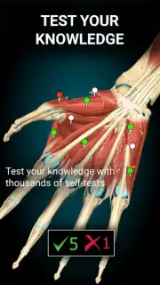 3D Anatomy Learning capture 3