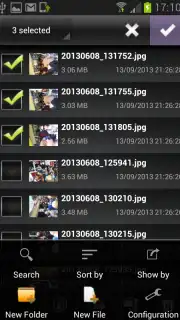 File Selector/Explorer capture 5