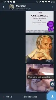 ForkGram capture 1