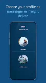 DFDS capture 8