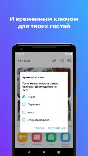 Росдомофон capture 8