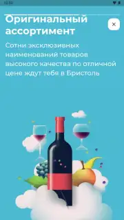 Бристоль capture 12