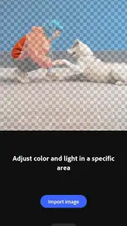 Adobe Photoshop capture 12