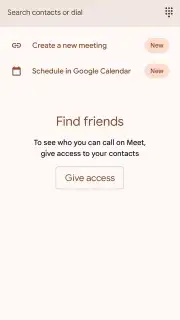 Google Meet capture 10