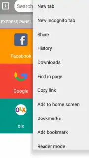 BrowserR capture 4