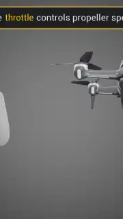 DJI Virtual Flight capture 8