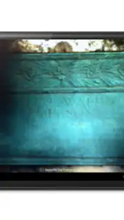 BillionGraves capture 13
