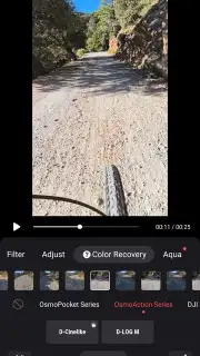 DJI Mimo capture 23