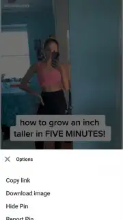 Pinterest capture 7