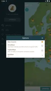 TunnelBear VPN capture 10