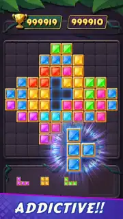 Block Puzzle capture 13