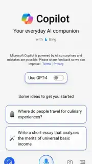 Microsoft Copilot capture 1