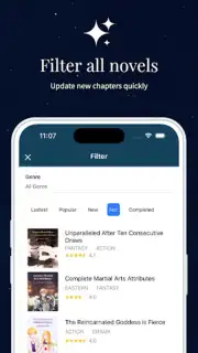 NovelBin capture 3