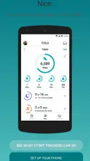 Fitbit capture 5